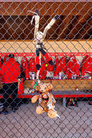 Central College softball
